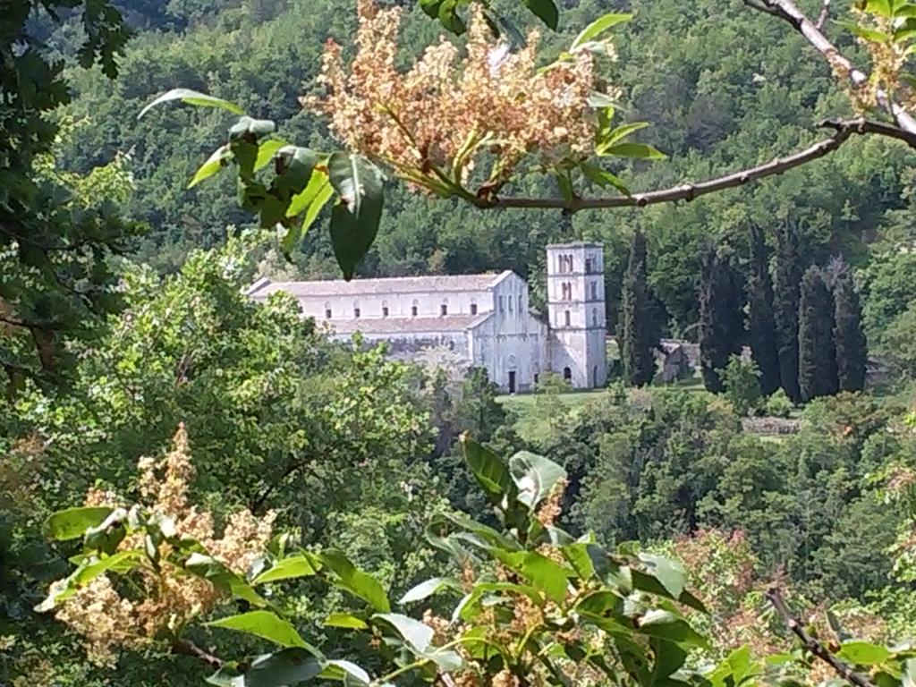 Le Pietre Ricce B&B Roccamontepiano Dış mekan fotoğraf