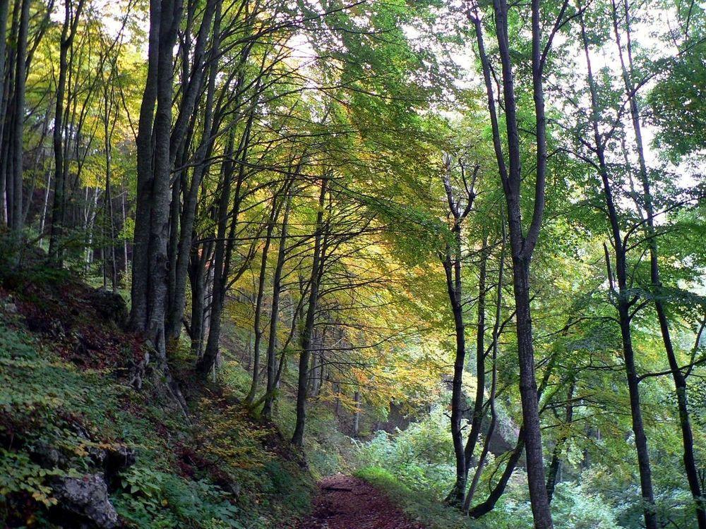 Le Pietre Ricce B&B Roccamontepiano Dış mekan fotoğraf